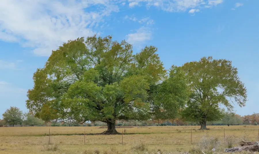 2150 County Road 412, Lexington, TX 78947 - #3