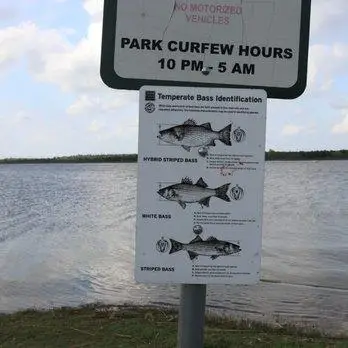 9805 ROYAL COURT Royal Ct, Austin, TX 78724 - #3