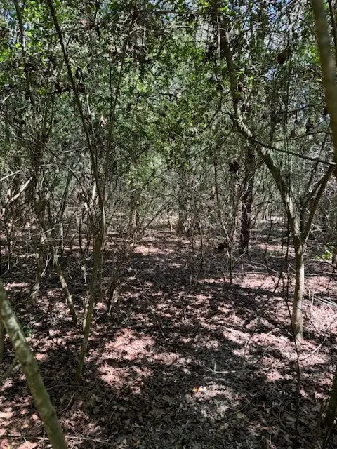 129 Helemano Dr, Bastrop, TX 78602 - Image #1