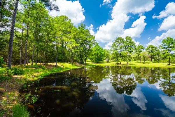 677 Old Antioch Rd, Smithville, TX 78957