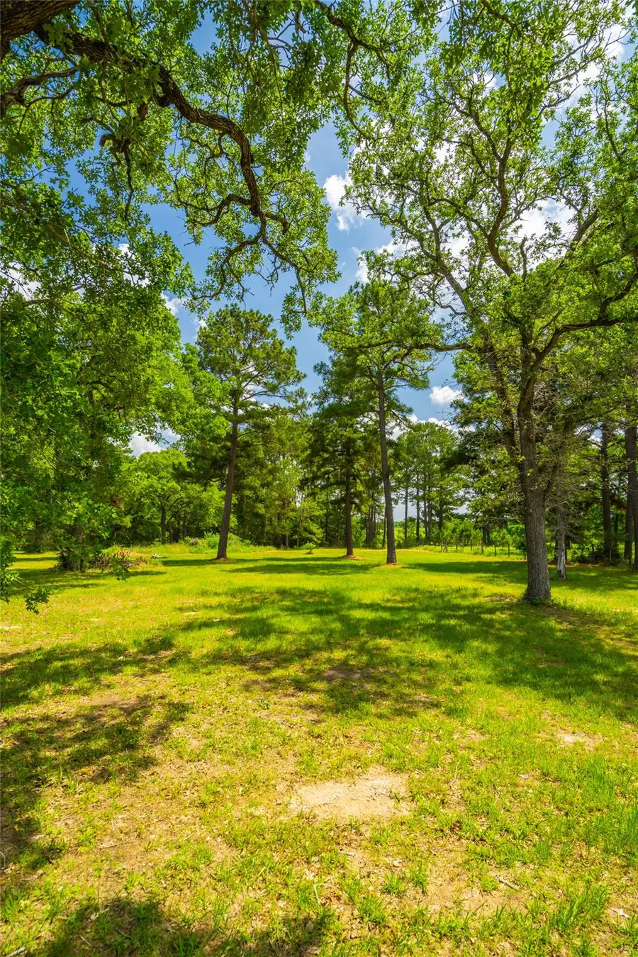 677 Old Antioch Rd, Smithville, TX 78957 - #3
