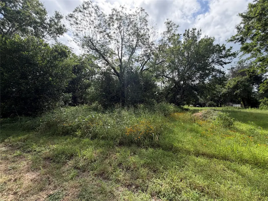 305 Ross St, Smithville, TX 78957 - #3