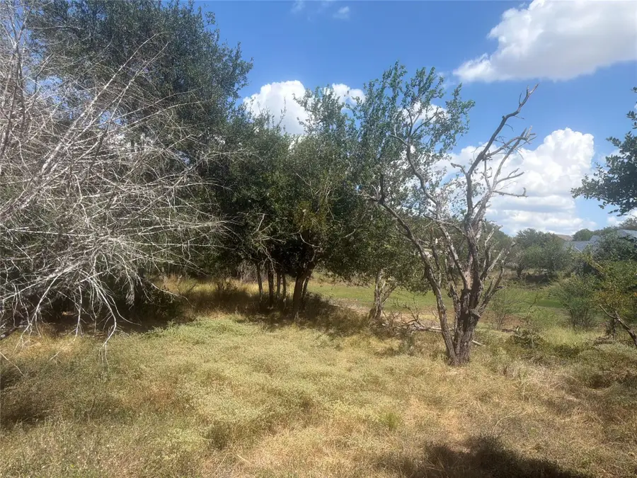 327 Mill Run, New Braunfels, TX 78132 - #2