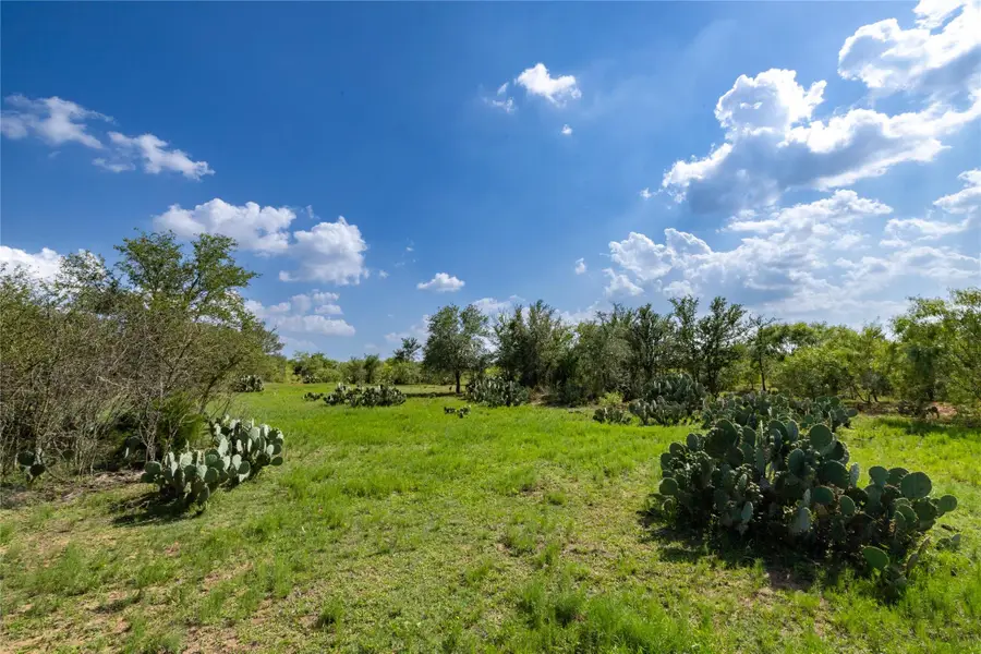 410 Green Acre Dr, Dale, TX 78616 - #2