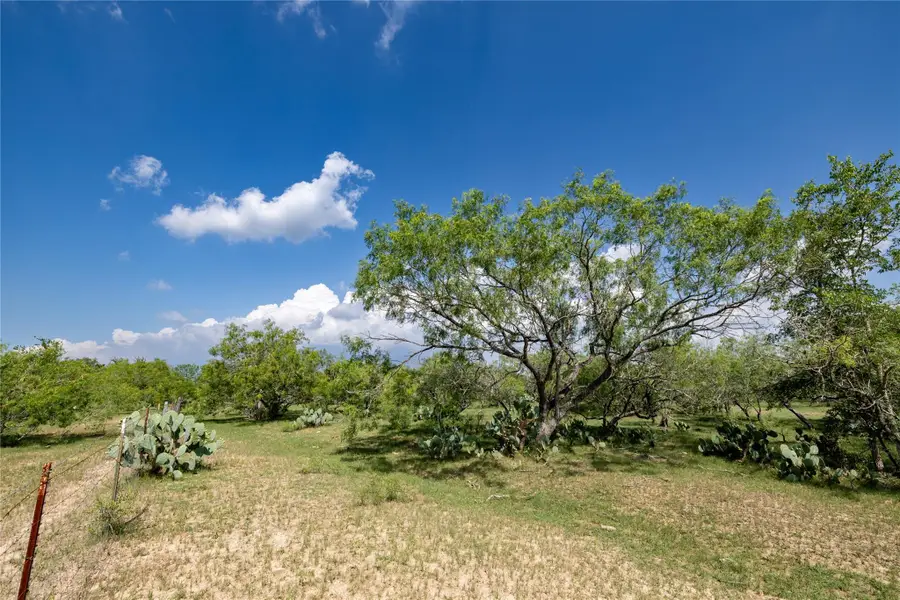 410 Green Acre Dr, Dale, TX 78616 - #3