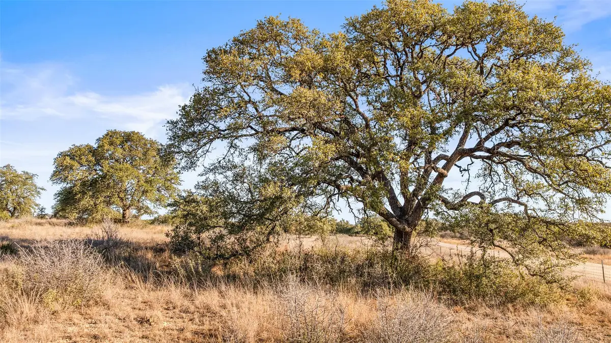 1422-17 Rm 2766, Johnson City, TX 78636 - Image #1