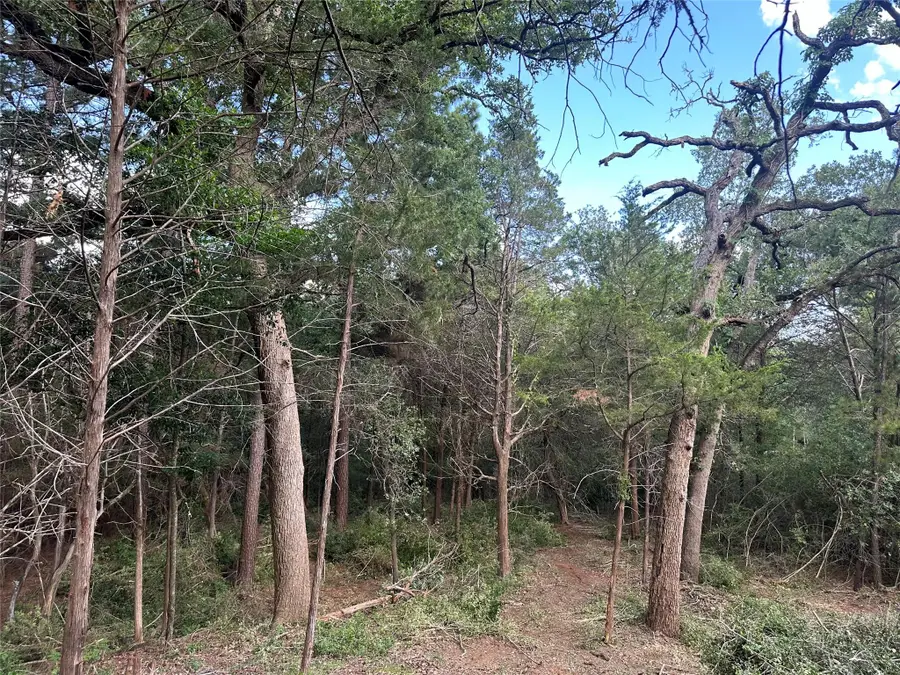 135 Heleakala Dr, Bastrop, TX 78602 - Image #2