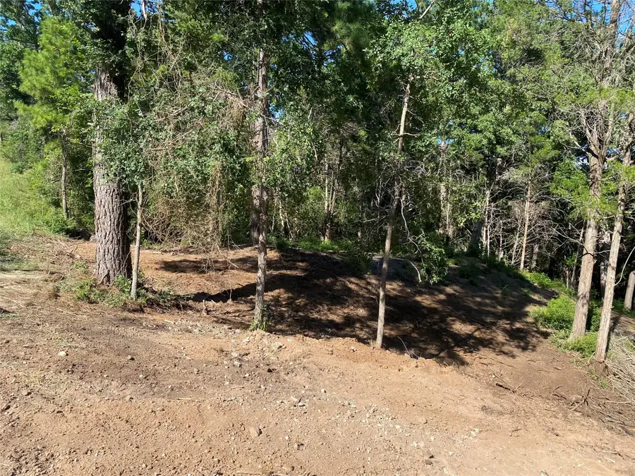 135 Heleakala Dr, Bastrop, TX 78602 - Image #3