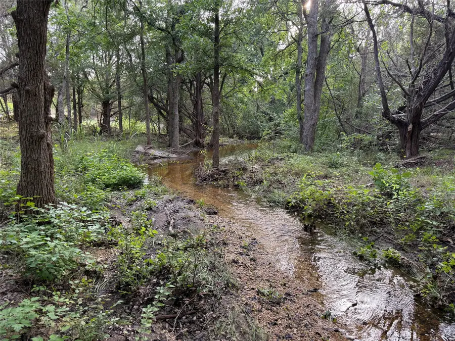 9220 County Road 272, Bertram, TX 78605 - #2