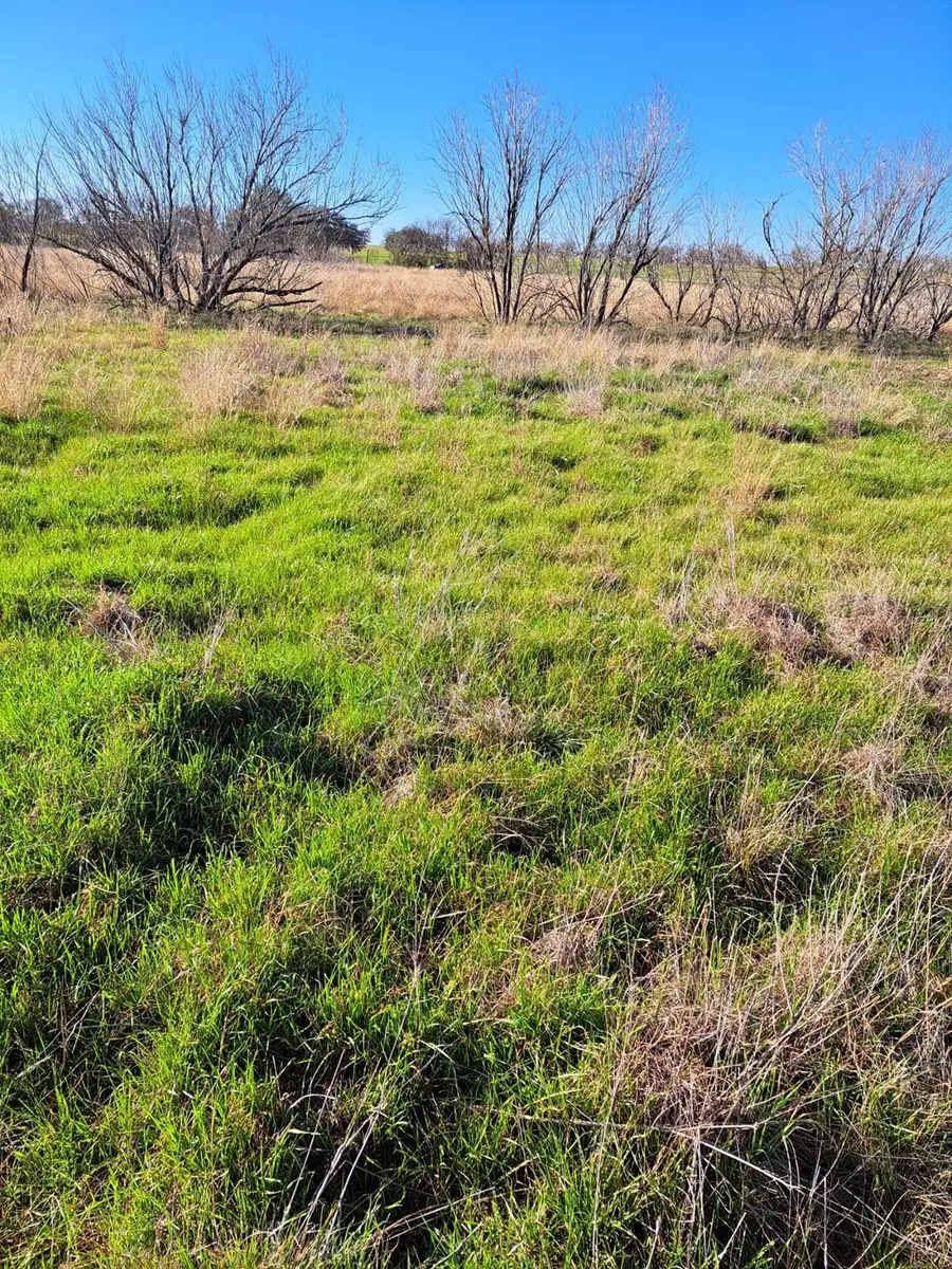 1560 Chalk Rd, Harwood, TX 78632 - Image #2