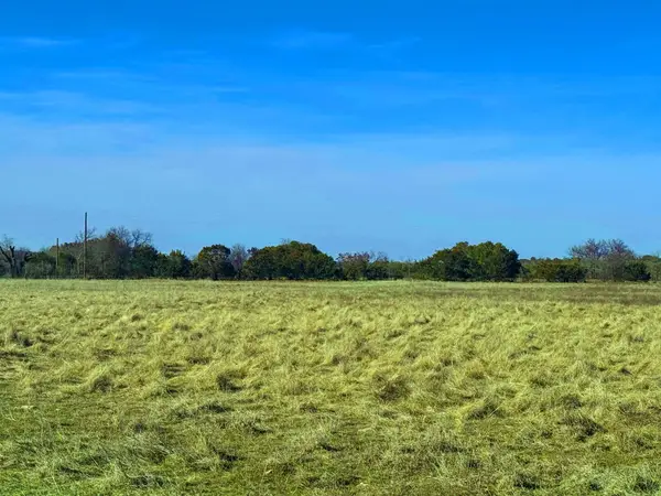 0 Cattle Trail, Kempner, TX 76539