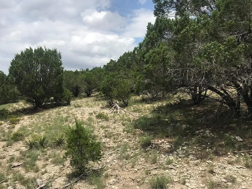 3226 Eisenhower Ave, Lago Vista, TX 78645 - #1