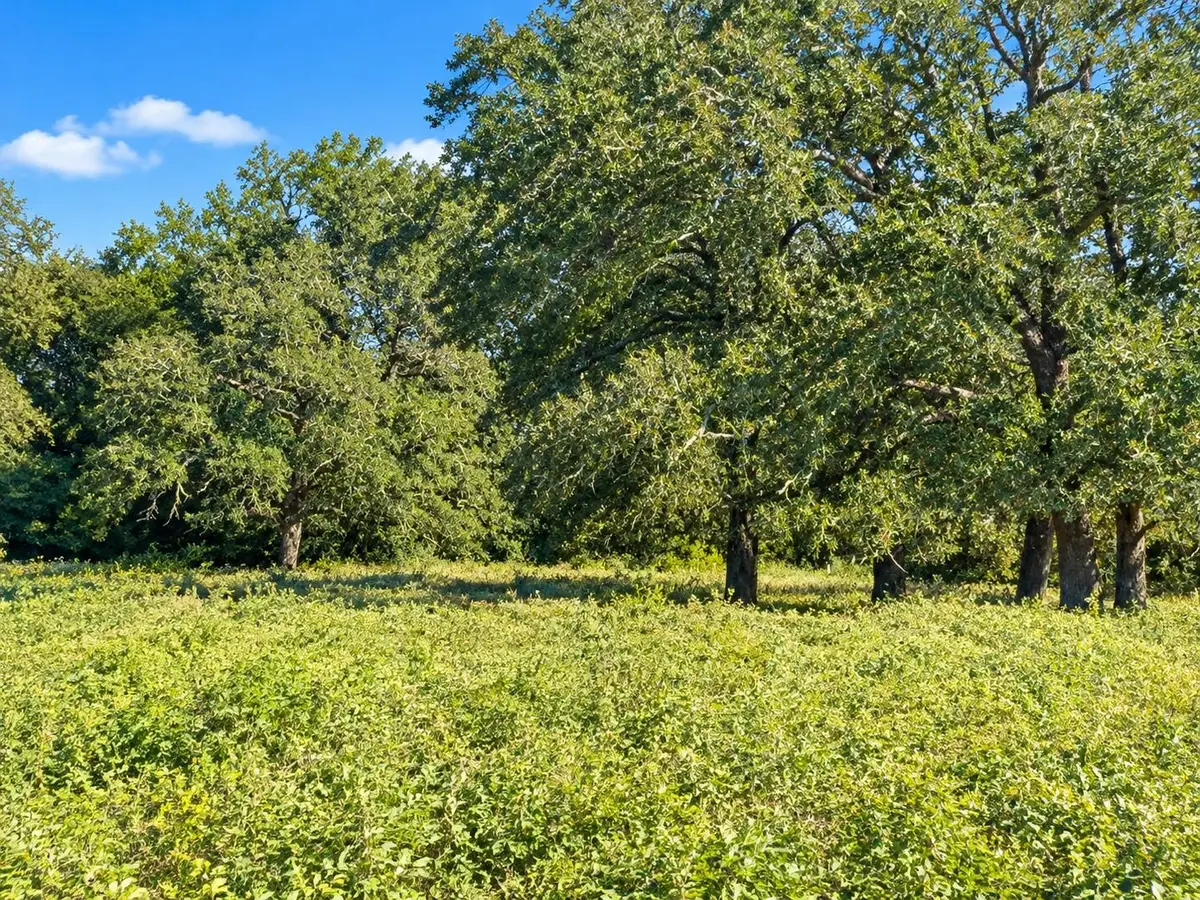 6228 Fm 141 Rd, Dime Box, TX 77853 - #1