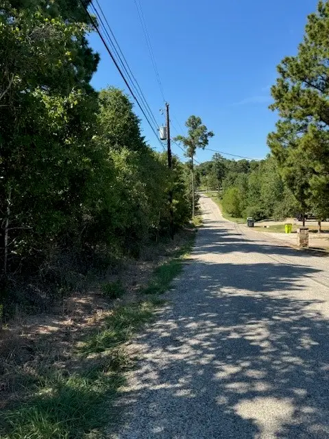 Lot 1355 N Kaupo Dr, Bastrop, TX 78602 - Image #3