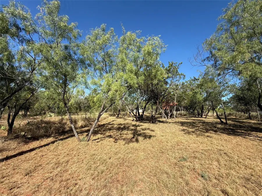 Lot #496 Driftwood Ln, Cottonwood Shores, TX 78657 - #2