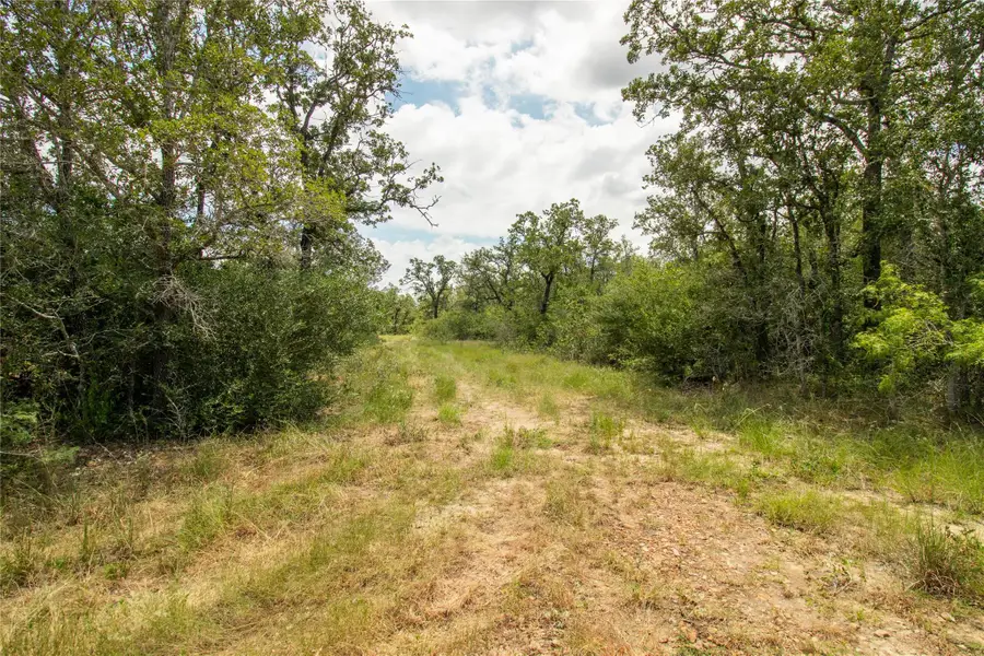 9057 Sycamore Shade Ln, Seguin, TX 78155 - Image #2