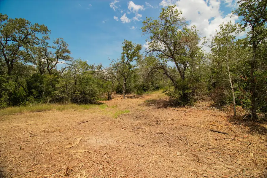 9057 Sycamore Shade Ln, Seguin, TX 78155 - Image #3