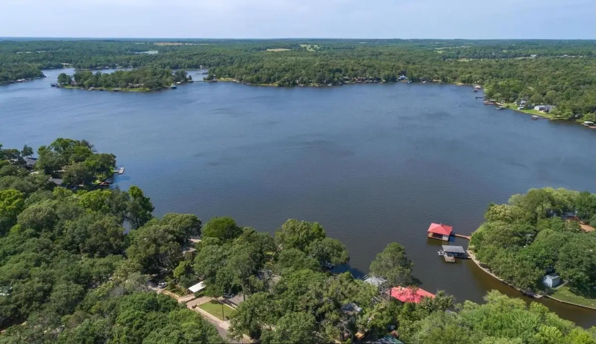 TBD Timber Grove, Murchison, TX 75778 - Image #1
