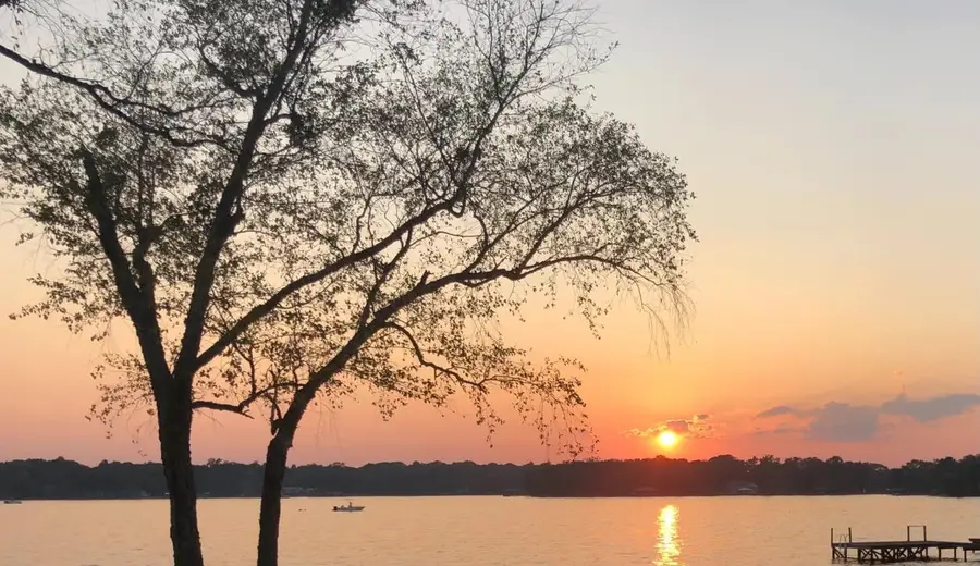 TBD Timber Grove, Murchison, TX 75778 - Image #3