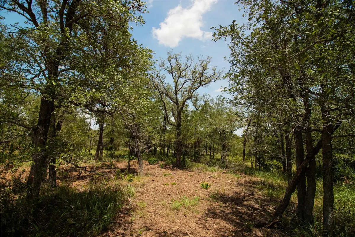 9412 Sycamore Shade Ln, Seguin, TX 78155 - Image #1