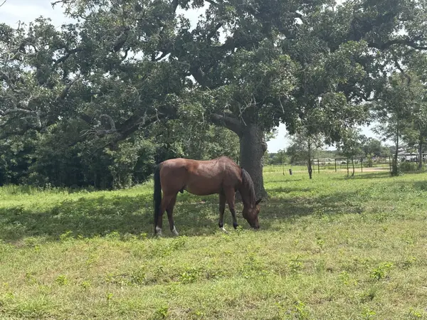 1430 Antioch Rd, Paige, TX 78659