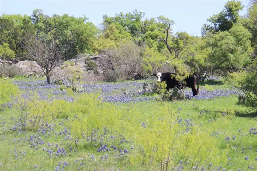 2655 Welgehausen Rd, Fredericksburg, TX 78624 - #2