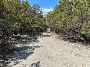 11351 Johnson Rd, Leander, TX 78641 - #3