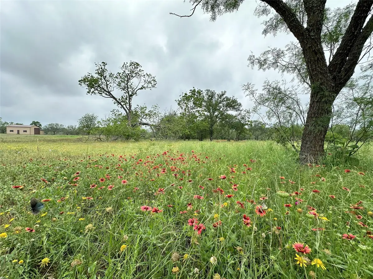 379 Vintners Way, Fredericksburg, TX 78624 - #1