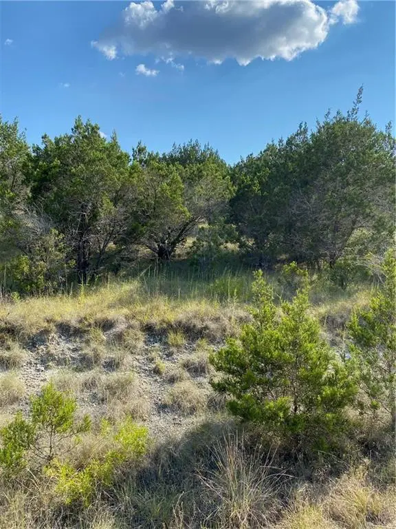 8711 Tepee Cv, Lago Vista, TX 78645 - #2