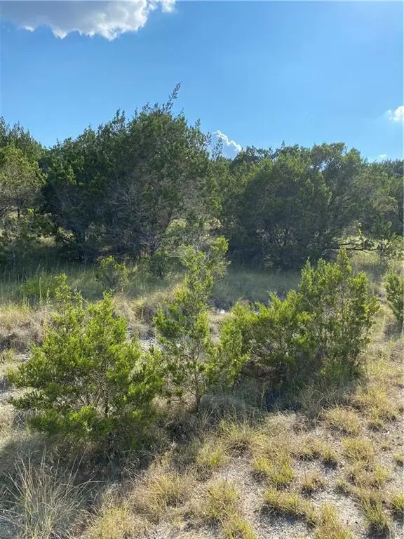 8711 Tepee Cv, Lago Vista, TX 78645 - #3