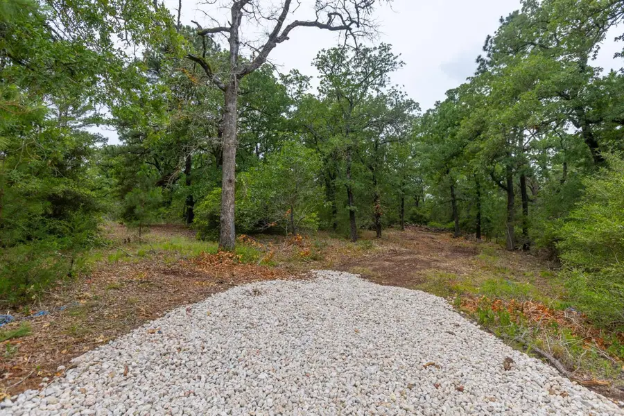 492 S Old Potato Rd, Paige, TX 78659 - Image #3