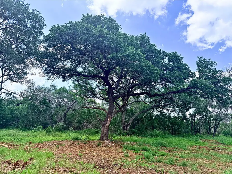 2013 Hilliard Rd, San Marcos, TX 78666 - #3