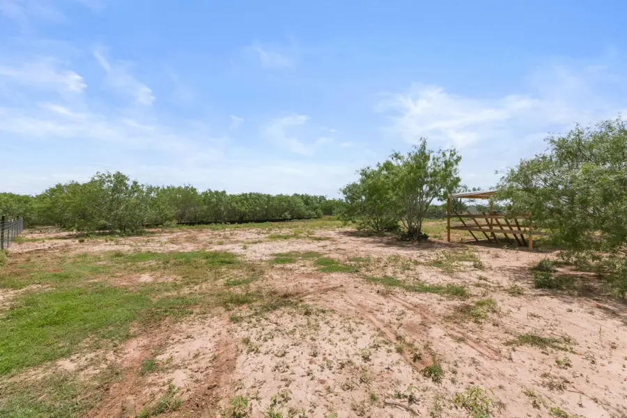 305 Blue Quail St, Dale, TX 78616 - #3