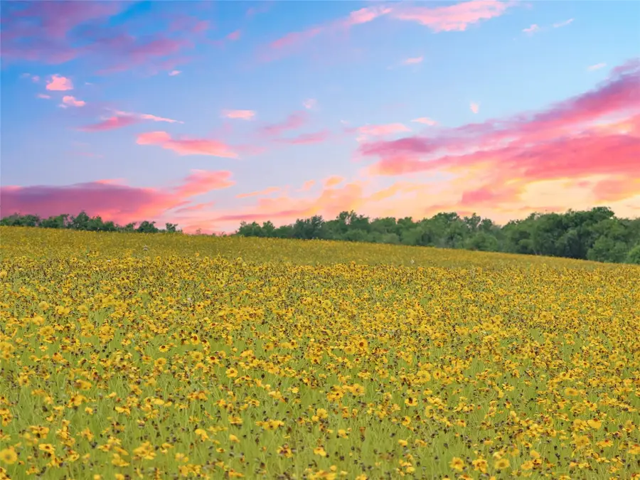 1515 County Road 315, Jarrell, TX 76537 - #2