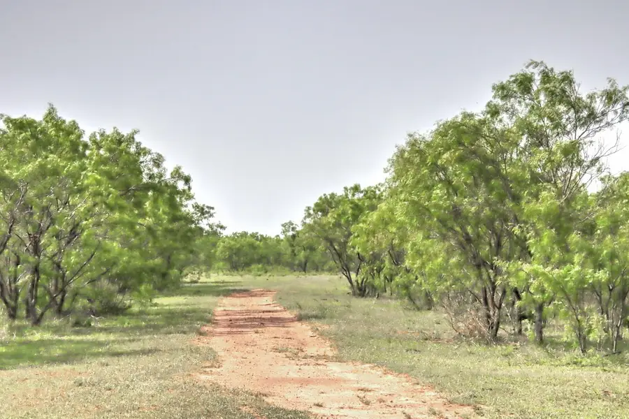 0 Farm To Market, Goldthwaite, TX 76844 - Image #2