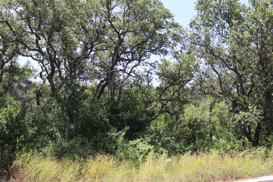TBD Lot 37054 Thanksgiving Mountain Rd, Horseshoe Bay, TX 78657 - Image #3