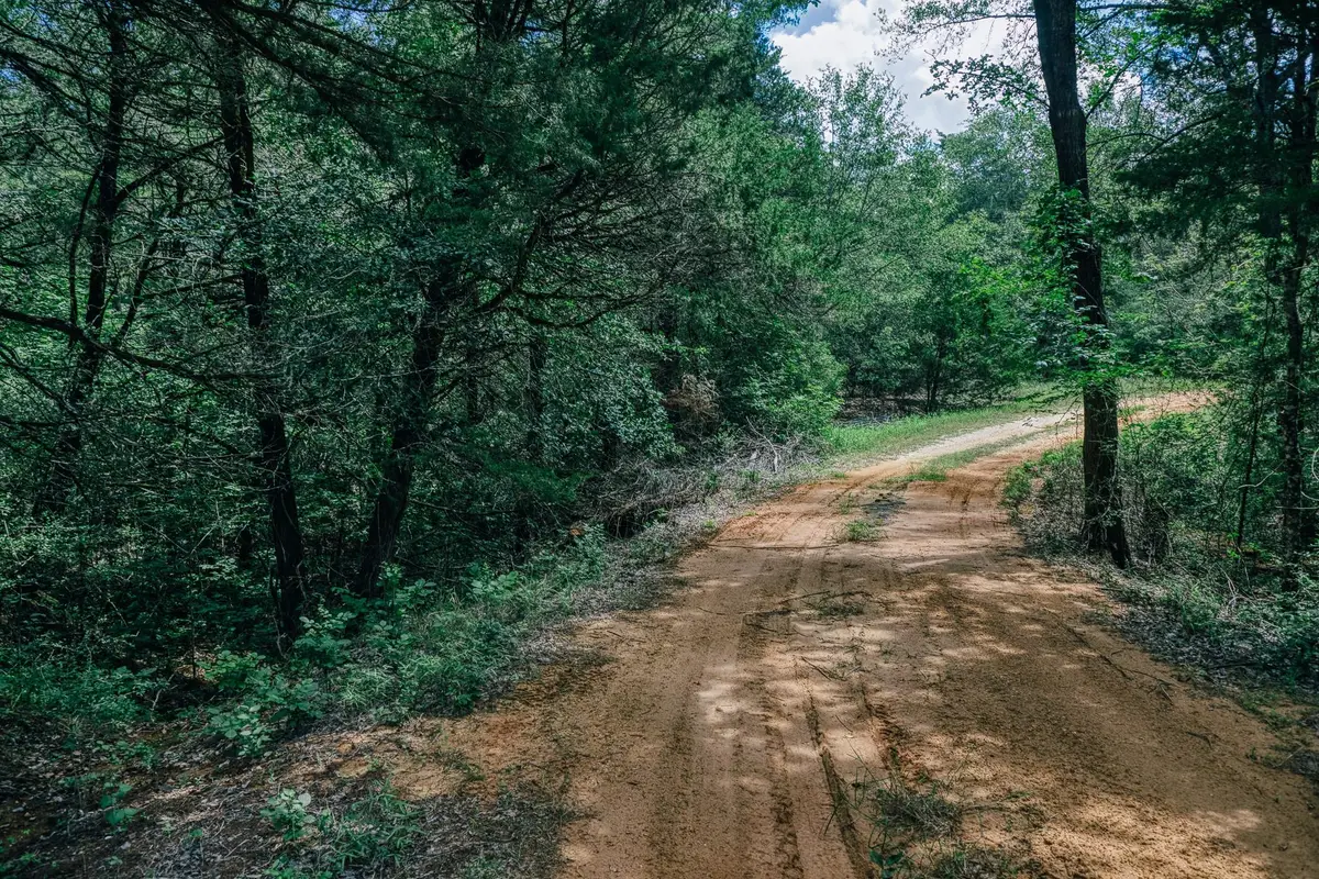 9713 County Road 316, Caldwell, TX 77836 - #1