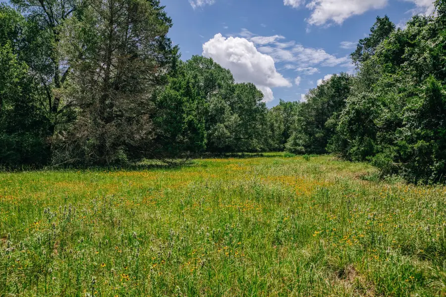 9713 County Road 316, Caldwell, TX 77836 - #3