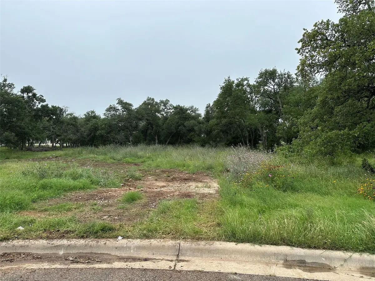 505 Milk Thistle Cv, Georgetown, TX 78628 - #1