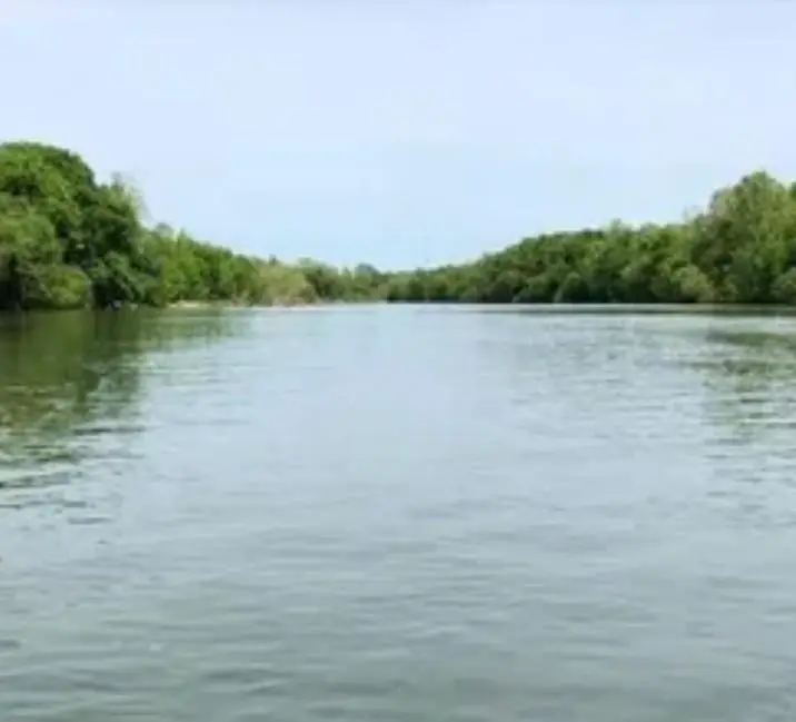 TBD Veldt Dr, Austin, TX 78725 - Image #3