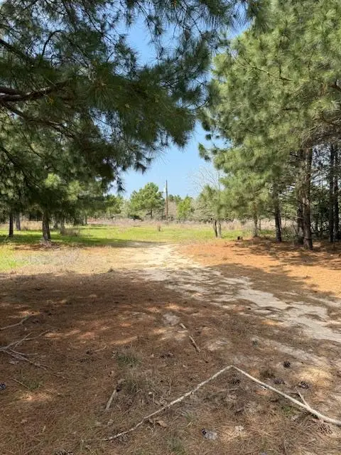 186 Hook Em Horns Dr, Paige, TX 78659 - Image #3