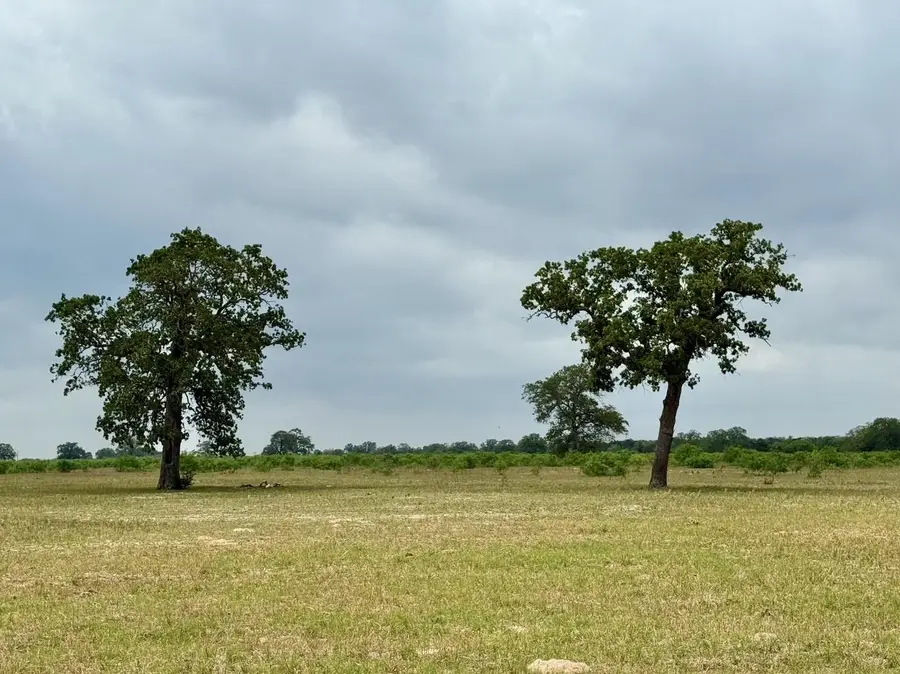 3 Big Sky Ranch Rd, Smithville, TX 78957 - Image #2