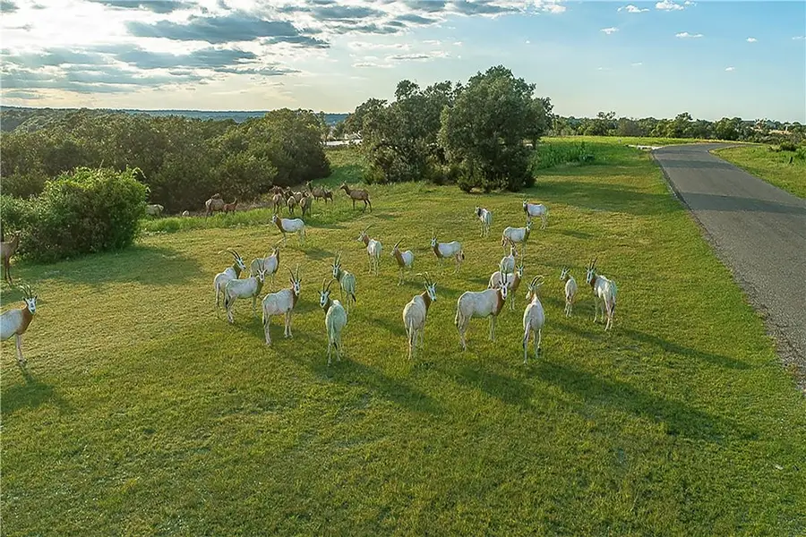 Lot 129 & 130 Lynx Cove Rd, Blanco, TX 78606 - #3