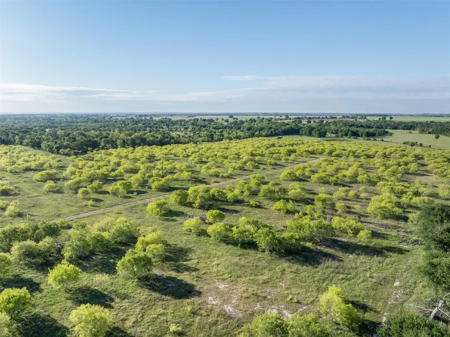 0000 County Road 414, Buckholts, TX 76518 - #2