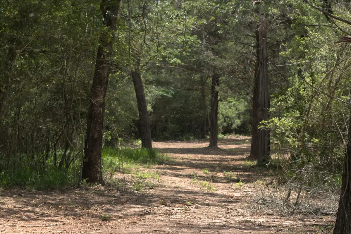 1690 County Road 413 N #TRACT 1, Lexington, TX 78947 - Image #1