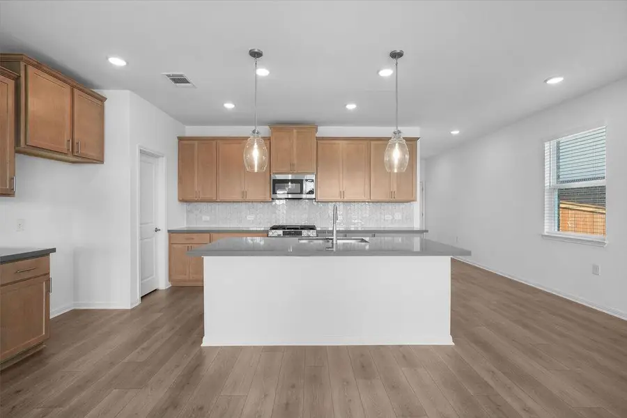 1725 Lorant Ln, Pflugerville, TX 78660 - Image #2