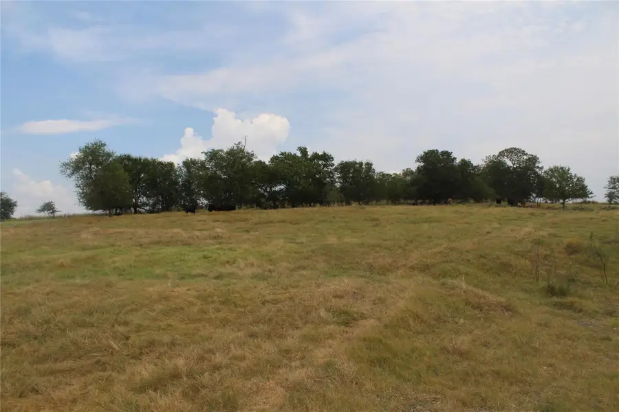 TBA County Road 417, Taylor, TX 76574 - Image #3