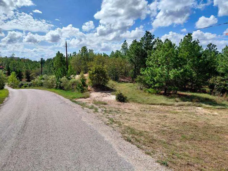 Lot 3 Tall Forest Dr, Bastrop, TX 78602 - #1