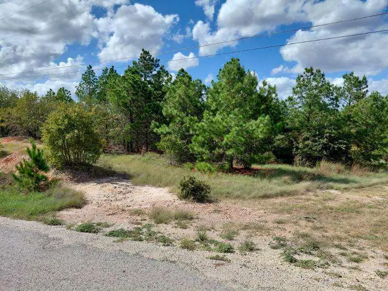Lot 3 Tall Forest Dr, Bastrop, TX 78602 - #2