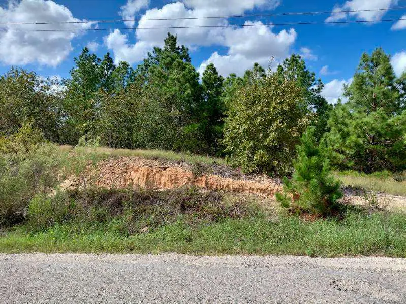 Lot 3 Tall Forest Dr, Bastrop, TX 78602 - #3